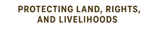 Protecting land, rights, and livelihoods