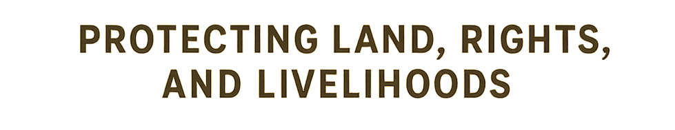 Tenure Security Logo