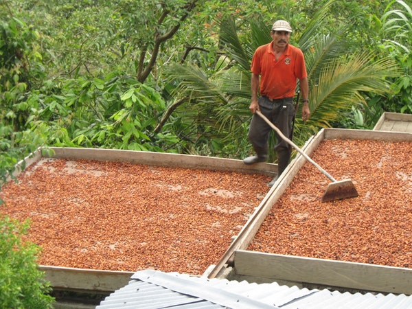 LRDPchoco4