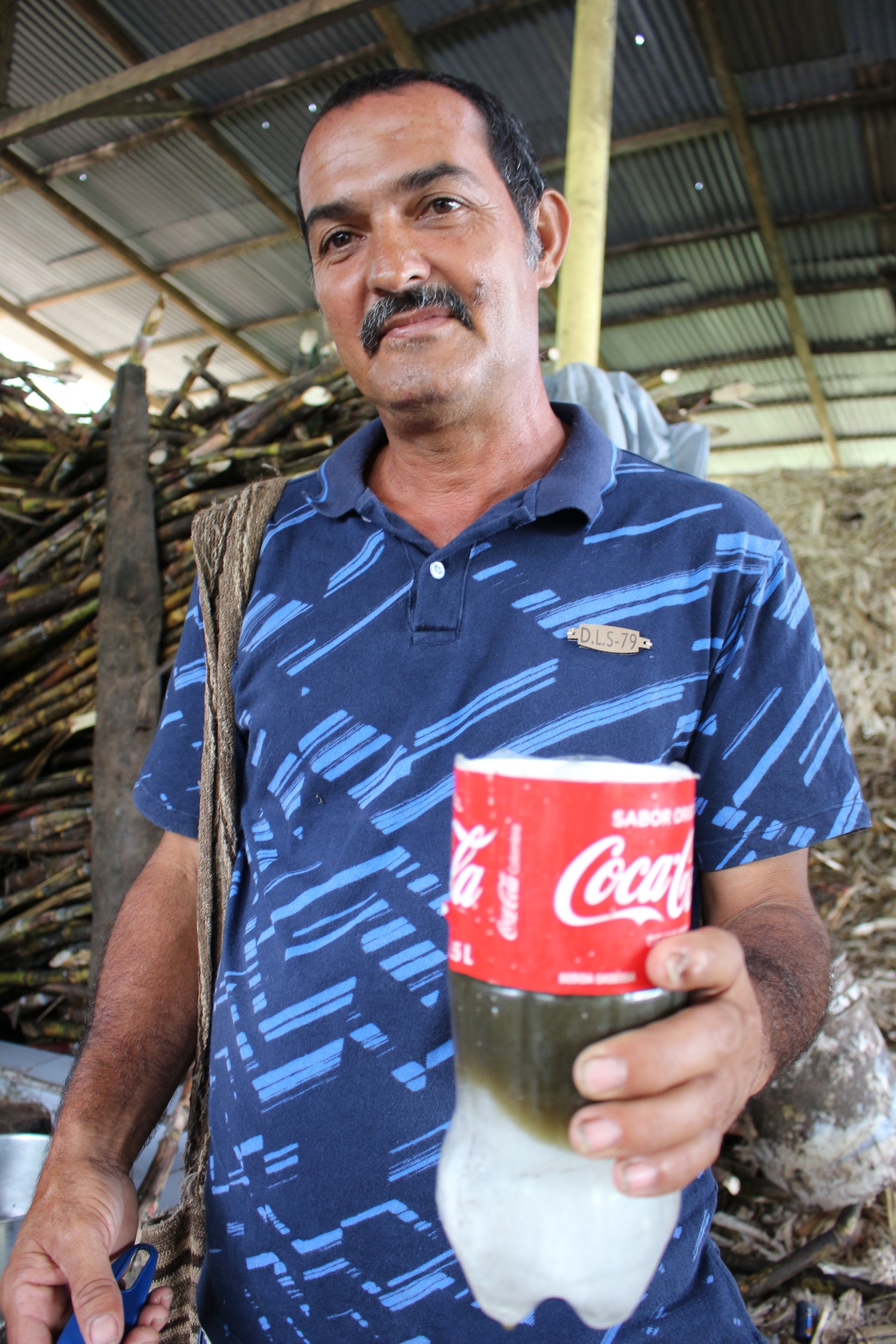 panela5