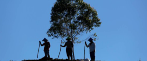 How can land investments be both sustainable and equitable?