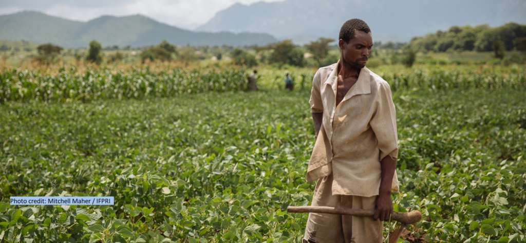 Land tenure and perceived tenure security in the era of social and ...
