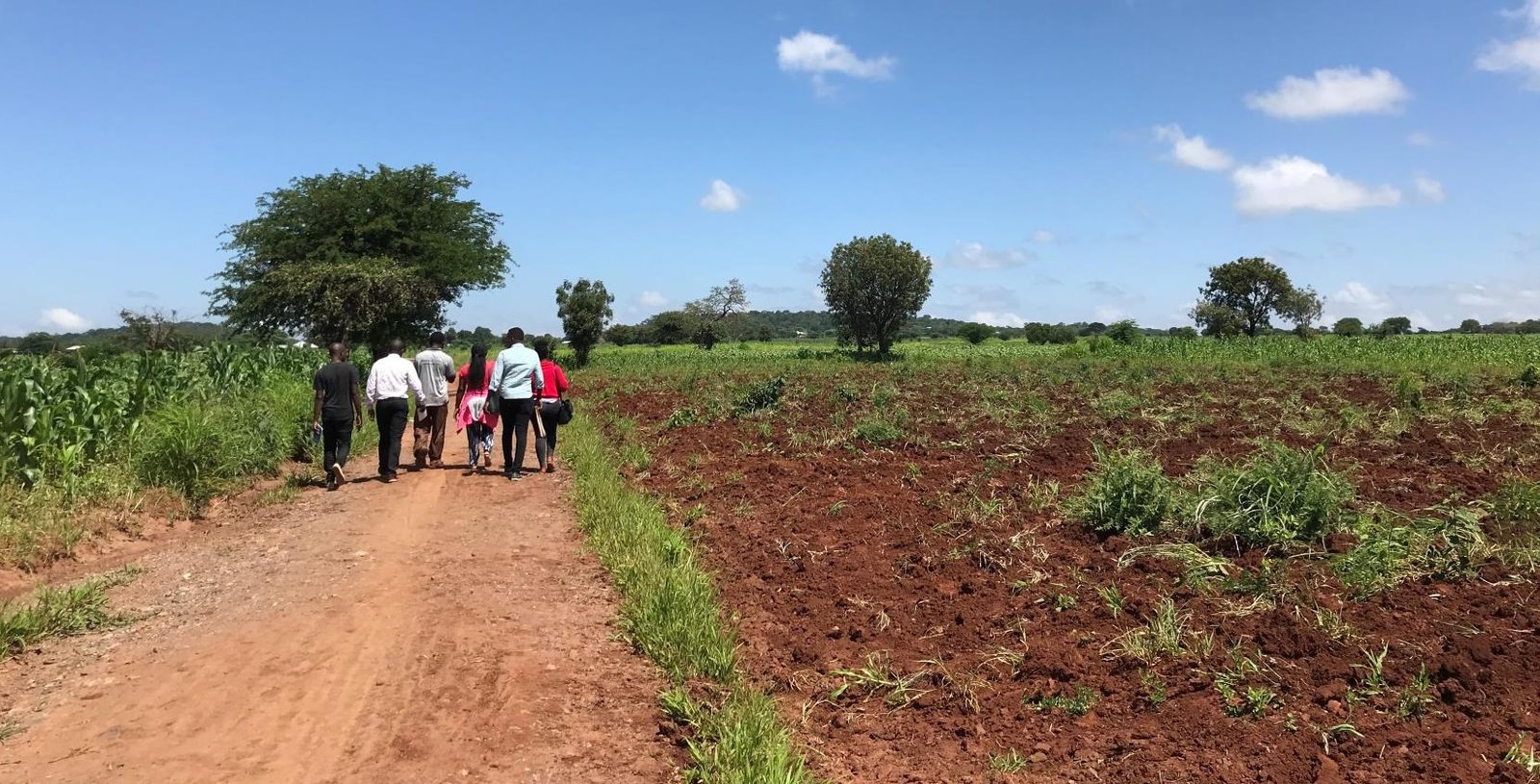 Impact Evaluation of the Feed the Future Tanzania Land Tenure ...
