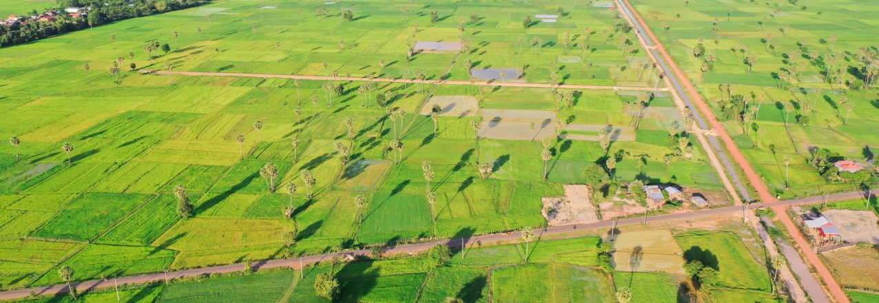 Tang Krasang irrigation system