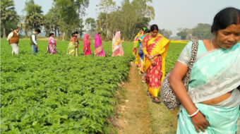 women in field