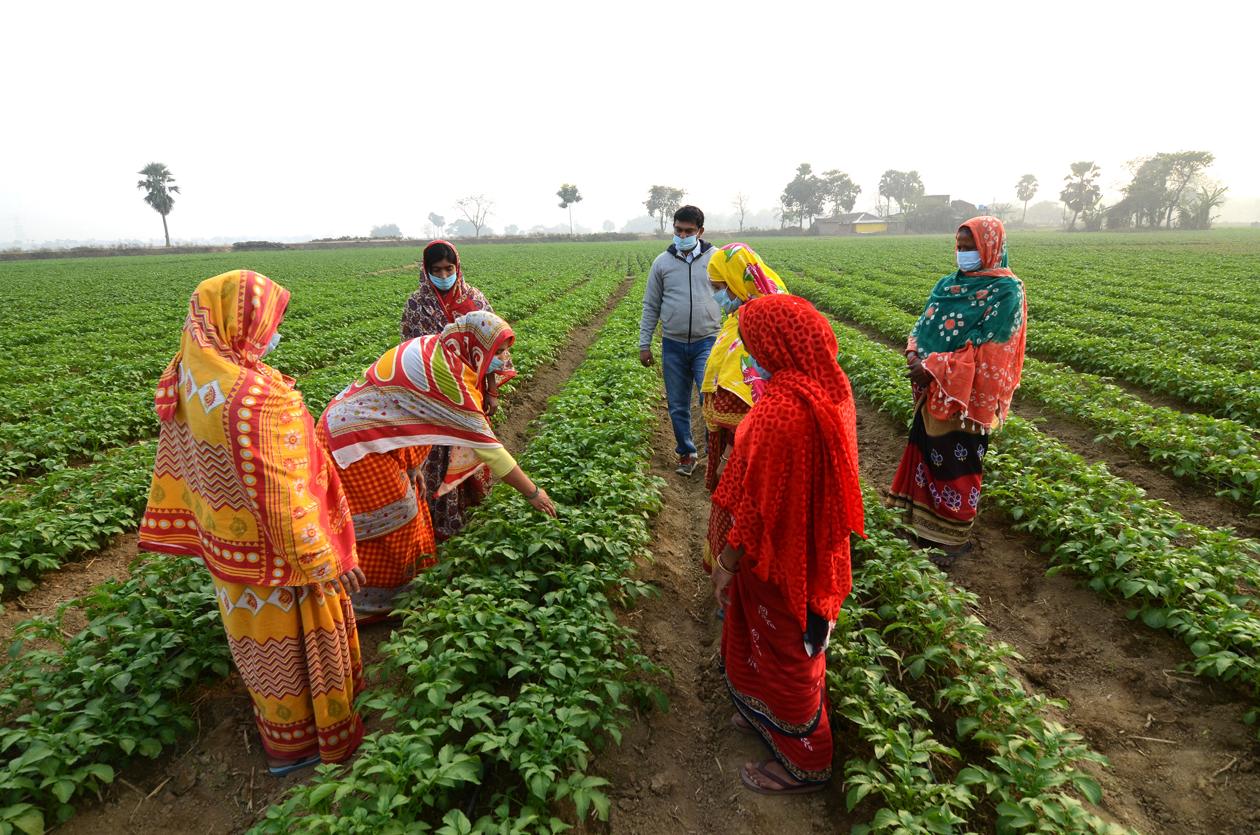 3_Land leasing group inspects fields