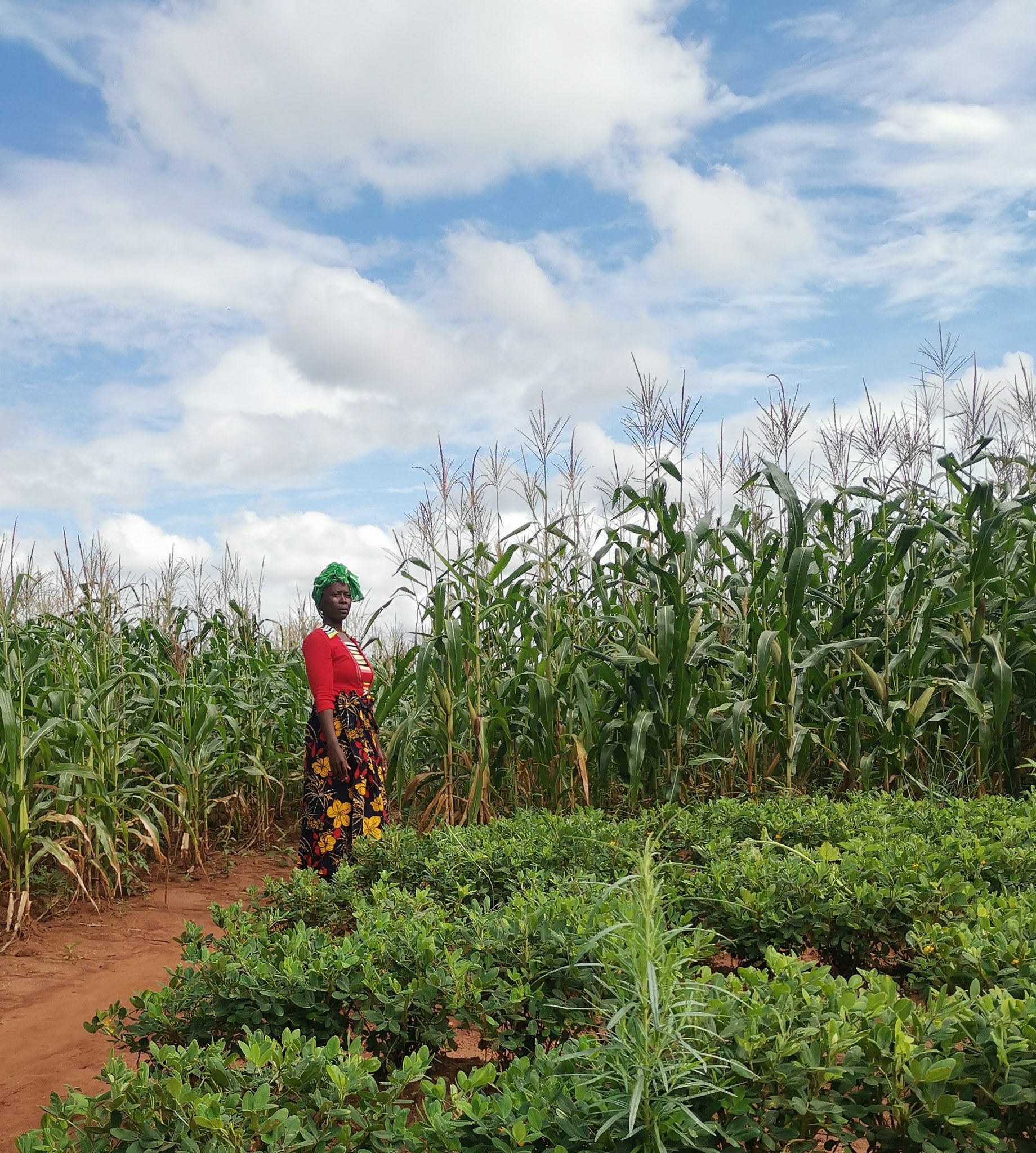 Putting Customary Land on the Map - Tenure Security: Protecting Land ...