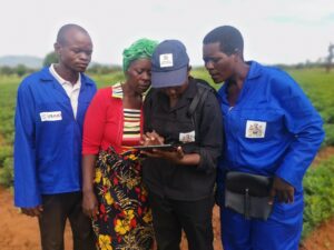 Margaret Dyson walks the boundaries of her land with data collector Alefa Kwenda and two CLC members from her community (in blue). 