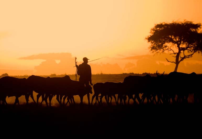 Land And Conflict: A Toolkit for Intervention 2.0 - Tenure Security ...