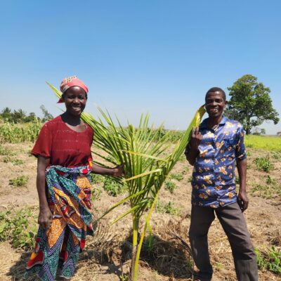 Mozambique_Jubeda Mariano Mucufu and Orlando Joao Abuque After receiving land use rights, Jubeda Mariano Mucufu, 35, and her husband Orlando Joao Abuque, 45, are producing coconuts for agroforestry company Grupo Madal in Zambezia, Mozambique. Photo credit: Thais Bessa/ILRG.