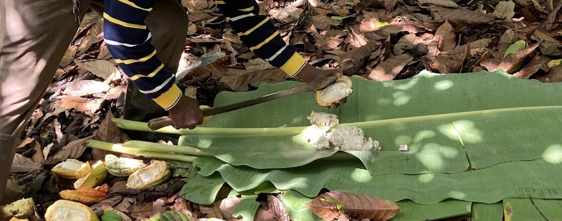 ILRG II Y1Q3 QPR featured image