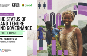 The status of land tenure and governance