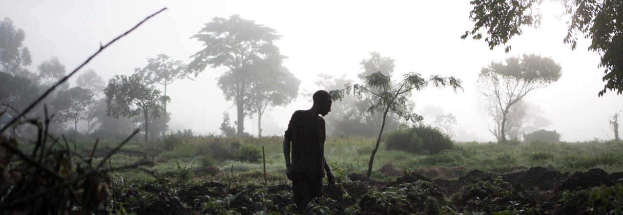 A farmer works in his field at dawn in Mityana District, Uganda