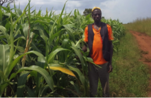 Smallholder farmer Abdulahi Mohammod cultivates sorghum on his land in Ethiopia.