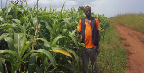 Smallholder farmer Abdulahi Mohammod cultivates sorghum on his land in Ethiopia.