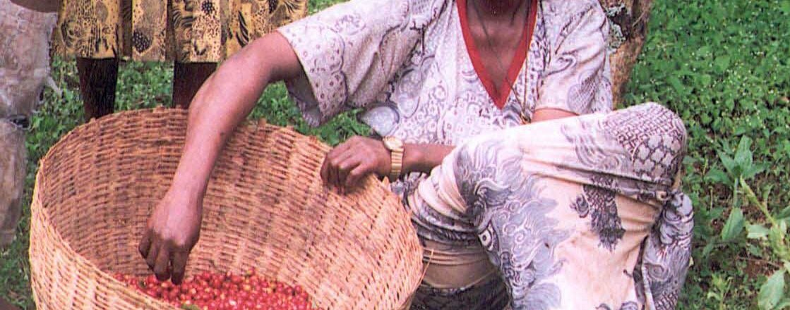 A coffee farmer in Ethiopia.